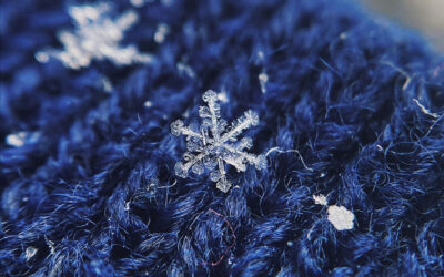 Im Februar ist noch viel Winter übrig – Ein Beitrag von Susanne Simon